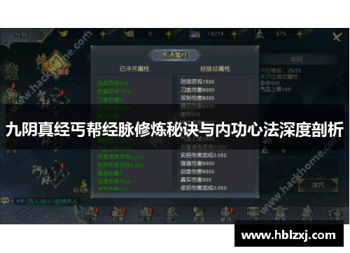 九阴真经丐帮经脉修炼秘诀与内功心法深度剖析