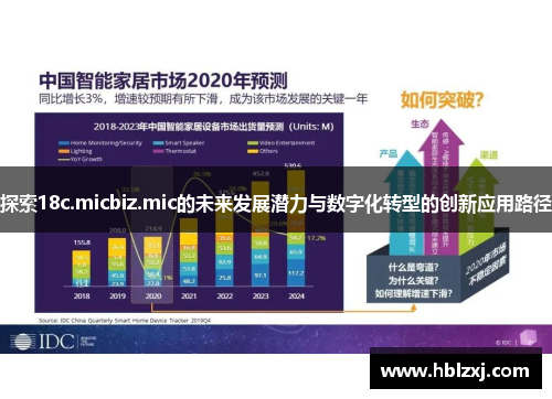 探索18c.micbiz.mic的未来发展潜力与数字化转型的创新应用路径